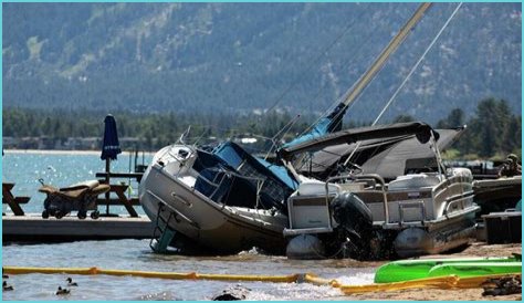 Betta Brawl Aftermath: When Aggression Ends in Tragedy