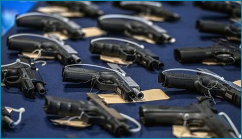 Customs Rabbit Death: Smuggling or Neglect at the Border?