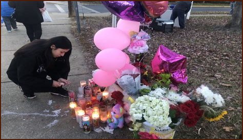 Flamingo YouTube Death: Community Mourns Albert's Passing