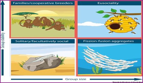 Shinra's Legacy: How the Corporation's Actions Led to Ecological Ruin